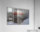 KO EC 10178 Acrylic Print