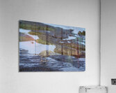 KO EC 13303a Acrylic Print