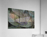 KO EC 17761 Acrylic Print