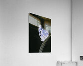 Butterfly at the La Selva Jungle Lodge butterfly farm Acrylic Print