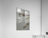 Bull kelp Florencia Beach Pacific Rim National Park Acrylic Print