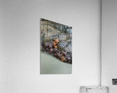 Sea stars on the rocks at Tonquin Beach Tofino Acrylic Print