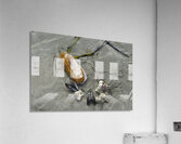 Chesterman Beach Vancouver Island British Columbia Acrylic Print