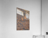 Ancient petroglyphs showcasing animal figures and geometric designs Crane Petroglyph Site Verde Valley Arizona Acrylic Print