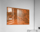 Petroglyphs near Atlatl Rock Valley of Fire State Park Nevada USA Acrylic Print