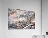 Black petroglyphs of animals Palatki Ruins Arizona USA Acrylic Print