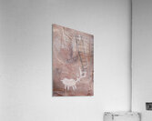 Petroglyphs in Valley of Fire State Park Nevada USA Acrylic Print