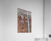 Ancient petroglyphs showcasing animal figures and geometric designs Crane Petroglyph Site Verde Valley Arizona Acrylic Print