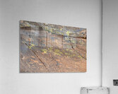 Ancient petroglyphs showcasing animal figures and geometric designs Crane Petroglyph Site Verde Valley Arizona Acrylic Print