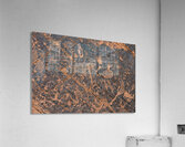 KO D22499 Acrylic Print