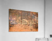 Petroglyphs near Atlatl Rock Valley of Fire State Park Nevada USA Acrylic Print