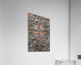 V Bar V stone ranch sign at Crane Petroglyph Heritage Site in Verde Valley Arizona Acrylic Print