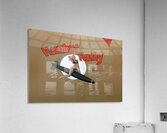 KO B79742 Acrylic Print