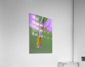 KO A18015 Acrylic Print