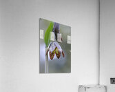 KO A48342a Acrylic Print