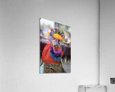 Man doing traditional dance while Quito celebrates the anniversary of its Spanish foundation Plaza de Santo Domingo Quito Ecuador Acrylic Print