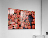 KO D16949 Acrylic Print