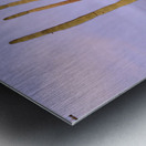 Organ Pipe Cactus Metal print