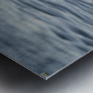 Brown Pelican  Metal print