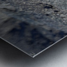 Marine Iguana Metal print