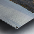 Lava Cactus Metal print