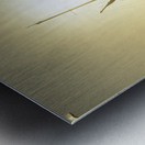 Mary Anne at sunset Metal print