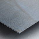 Ghost Crab Metal print