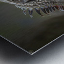 Green Iguana Metal print