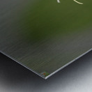 Heliconius Butterfly Metal print