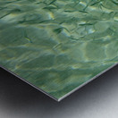 Small reef fish Metal print