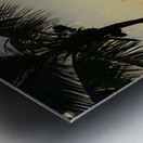 Dramatic sunset at Manchioneel Bay Metal print