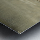 Green Iguana Metal print