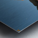 Petroglyphs near Atlatl Rock Metal print