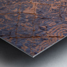 Petroglyphs - Valley of Fire State Park Metal print