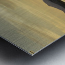 Fishing at sunset Patagonia Lake Metal print