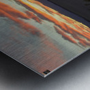 Mesquite Flat Sand Dunes Metal print