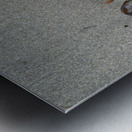 Seaweed floats - Florencia Beach Metal print