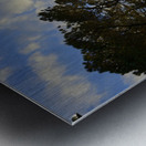 Gnarled trees at sunset Metal print