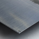 Surfing at Long Beach Metal print