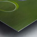 Chocolate Lily Fritillaria affinis Cowichan Valley Vancouver Island British Columbia Canada Metal print