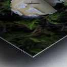 Mushroom Metal print