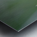 Purple wildflower Cowichan Valley Vancouver Island British Columbia Canada Metal print