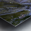 Big Leaf Maple Flower Cowichan Valley Vancouver Island British Columbia Canada Metal print