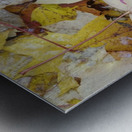 KO A04679 1 Metal print