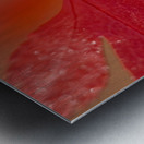 KO 50411 1 Metal print