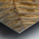 KO 50457 1 Metal print