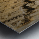 Notre Dame Cathedral Paris France Metal print