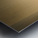 Baptismal urn Eglise Saint Pothin Metal print