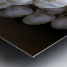 Braided garlic at the Lourmarin street market Metal print