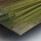 Colorful incense for sale at the Lourmarin Friday market Metal print